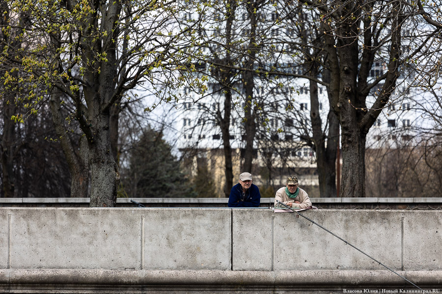 Музей Мирового океана запускает водный маршрут к бастиону «Литва» (фото)