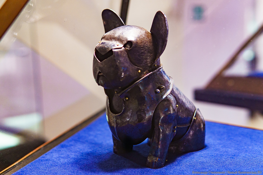 «Металлические метаморфозы»: в Музее янтаря открылась выставка выпускников «Мухи» (фото)