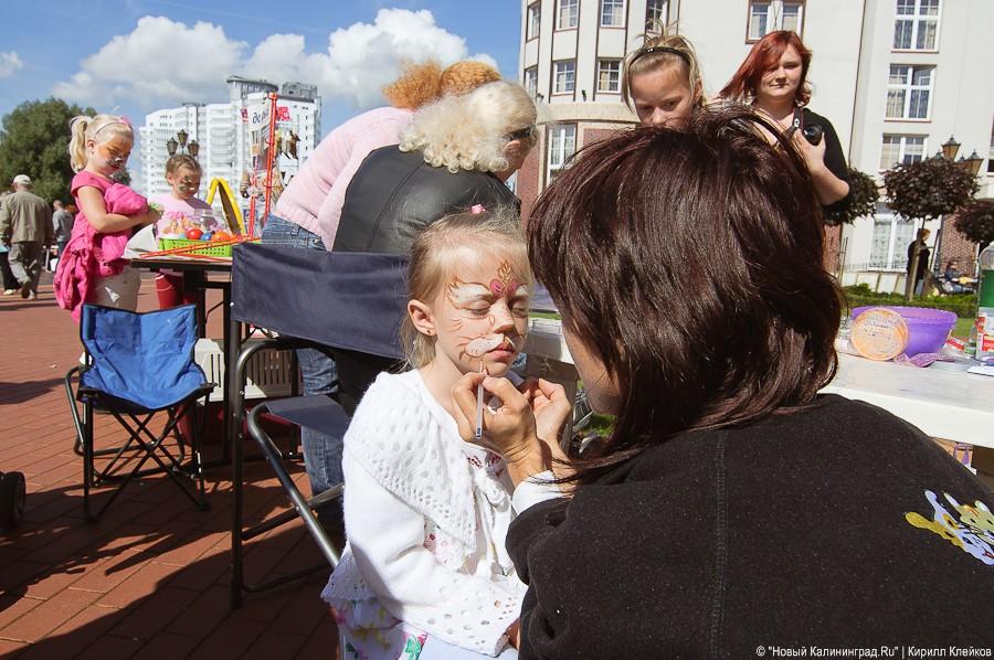 "Будем гладить всех мурчащих": фоторепортаж "Афиши Нового Калининграда.Ru"