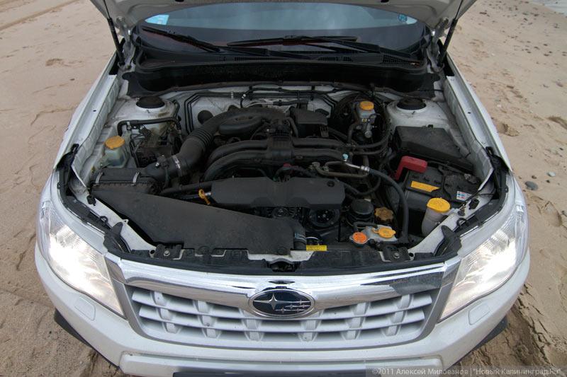 «Форест Гамп»: тест-драйв нового Subaru Forester