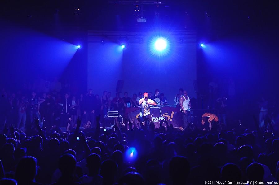 "Сошедшие с забора": фоторепортаж "Афиши Нового Калининграда.Ru"