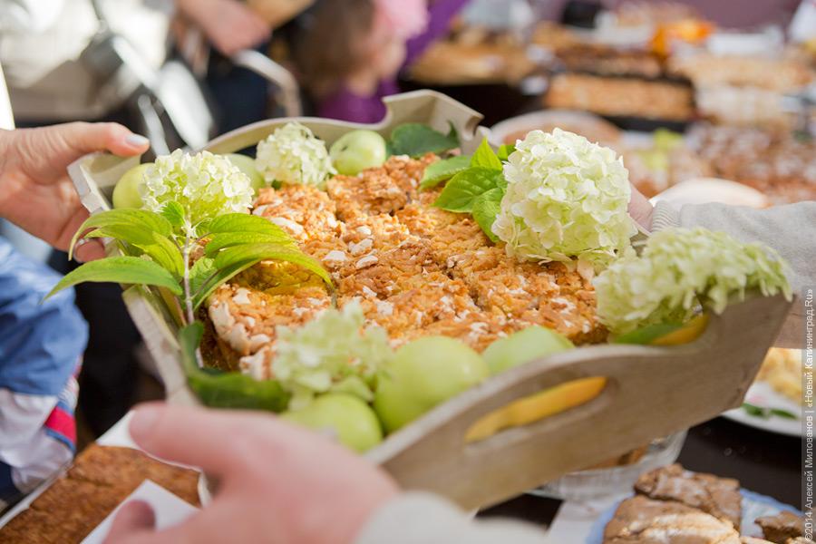 Спасу нет: как прошел благотворительный фестиваль шарлотки