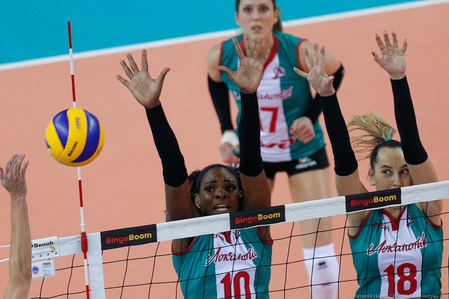 Два «Динамо» подряд: в Калининграде проходит волейбольный «Финал четырех» (фото)