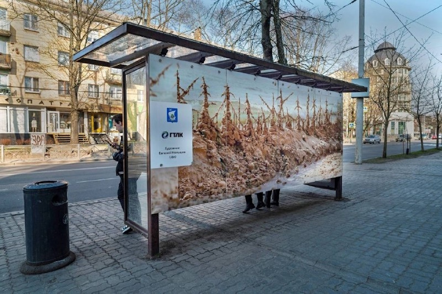 Лисы на трамвае едут в закат: в Калининграде открыли три арт-остановки (фото)