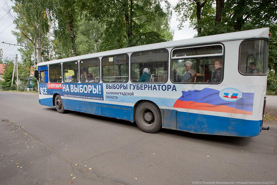 Спрос под стать предложению: как прошёл день голосования в Калининграде