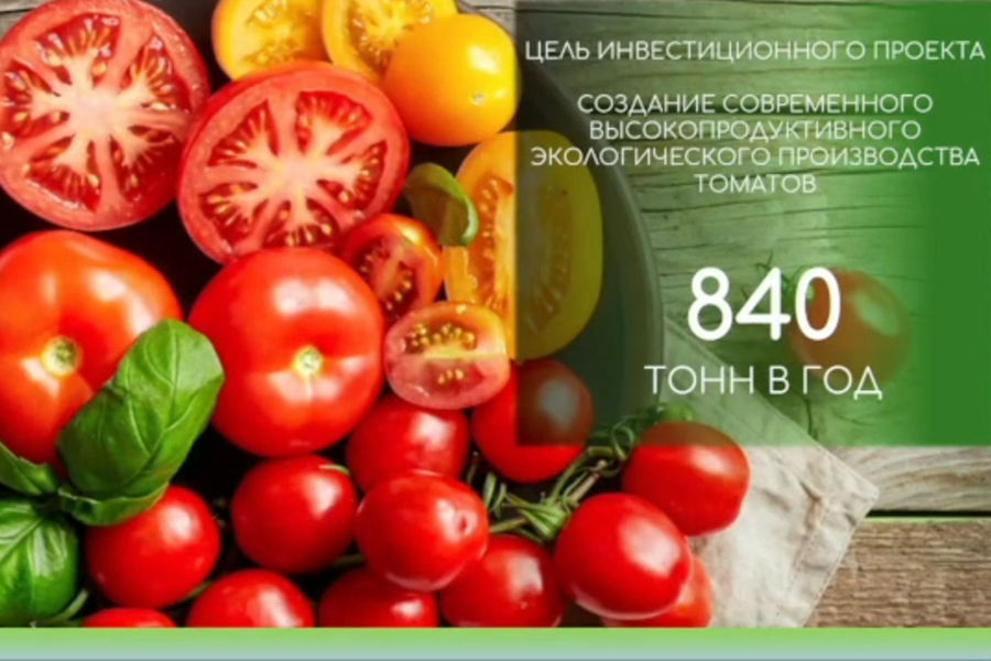 Инвестор хочет построить тепличный комплекс под Багратионовском и выращивать томаты