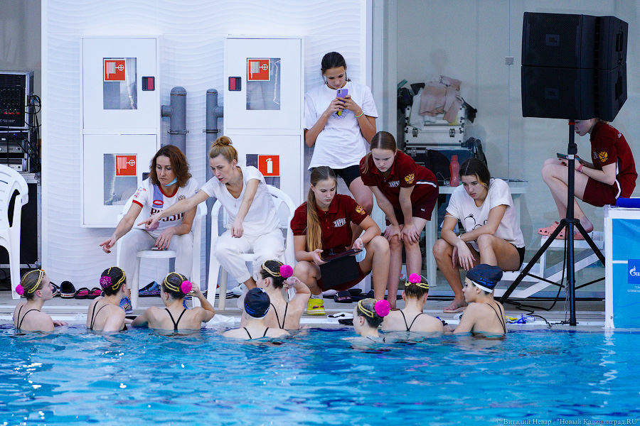 В Калининграде проходит Кубок России по синхронному плаванию. Вот как это выглядит (фото)