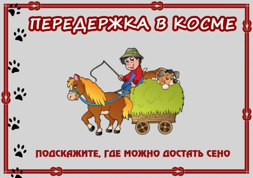 Требуется сено для собак