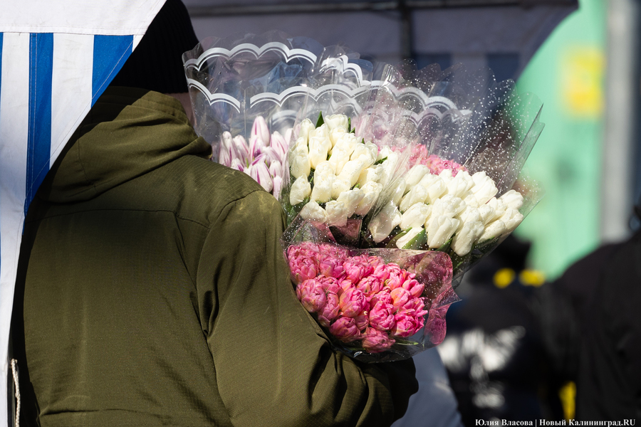 Цветочные баррикады: как выглядят улицы Калининграда 8 марта (фото)