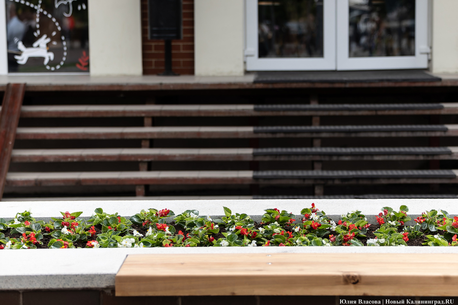 Вместо развалившихся: на улицу Баранова вернули вазоны-лавки за 12,5 млн рублей (фото)