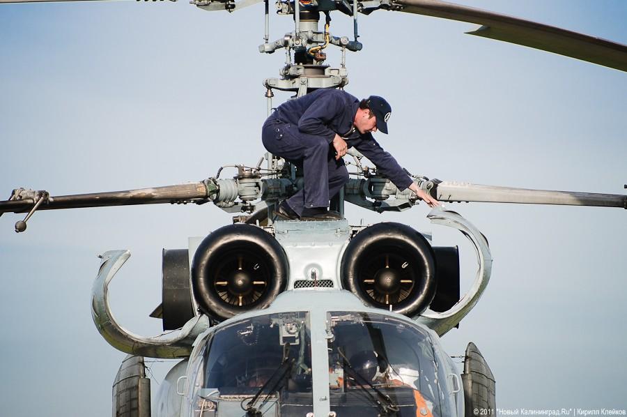 "Прилетит вдруг волшебник": фоторепортаж "Нового Калининграда.Ru"