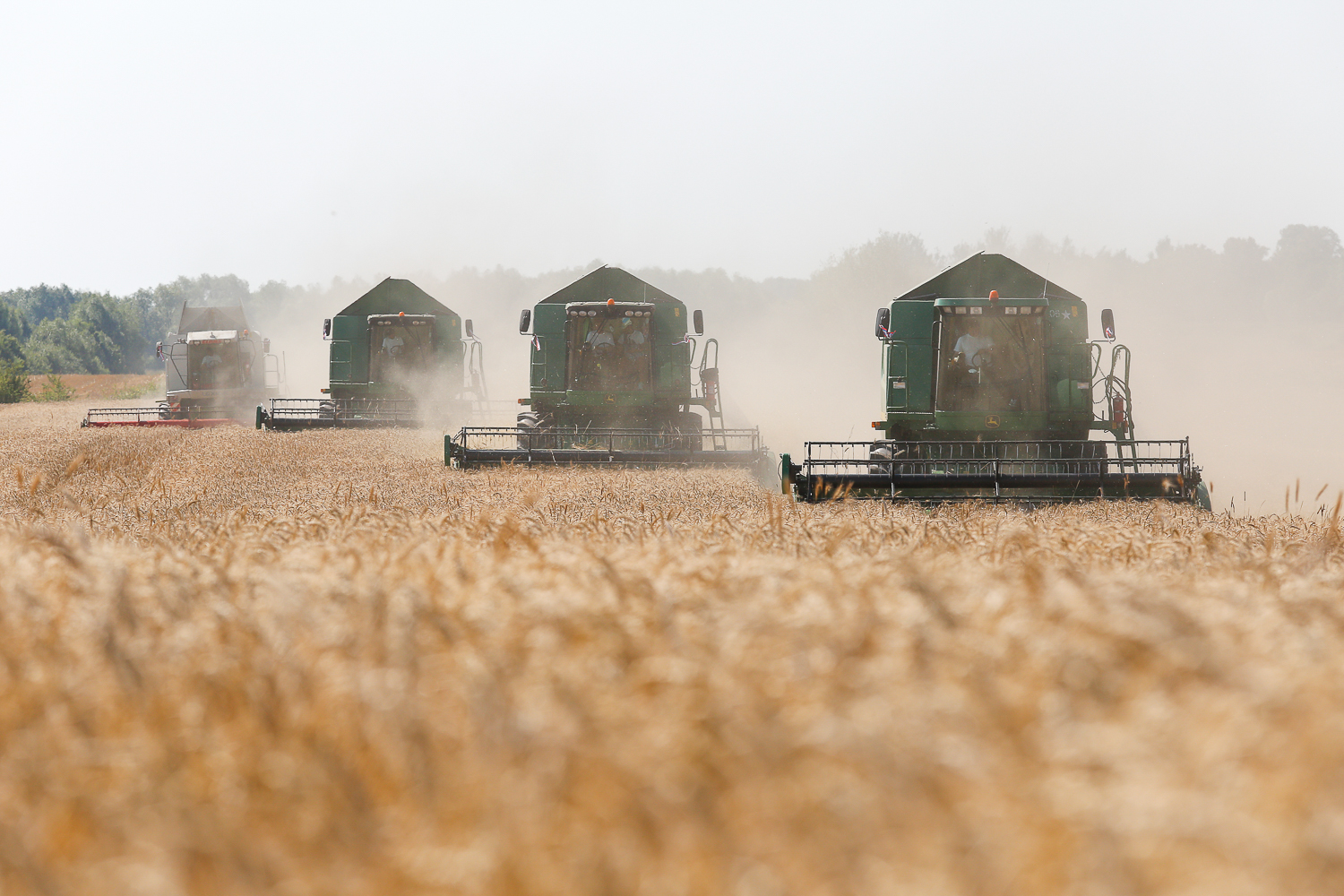 Власти Калининградской области выделяют 600 млн рублей на поддержку сельского хозяйства