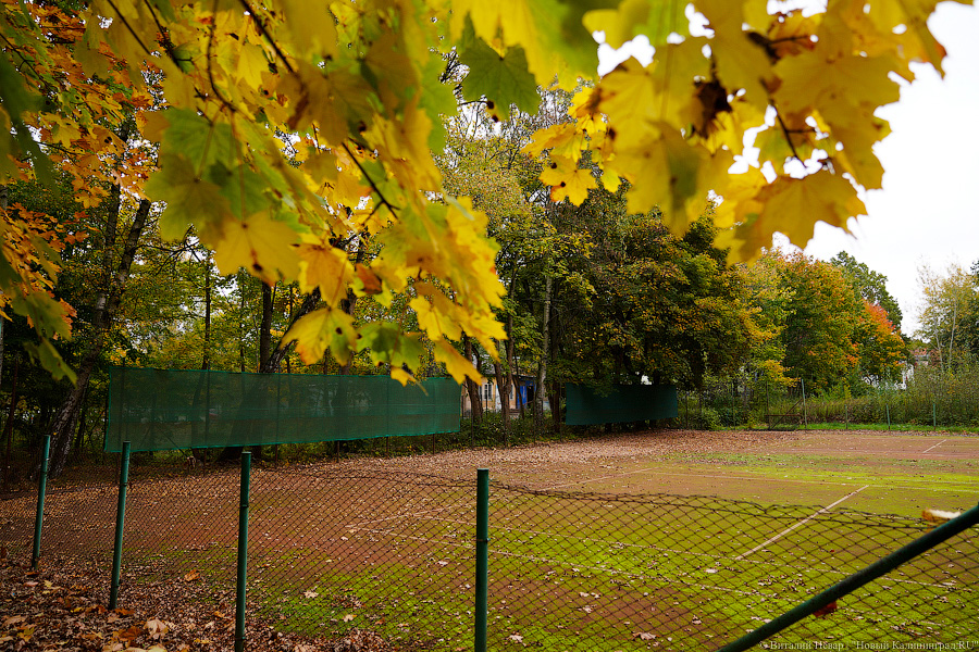 Увидеть в последний раз: осень на стадионе «Спартак», который хотят застроить (фото)