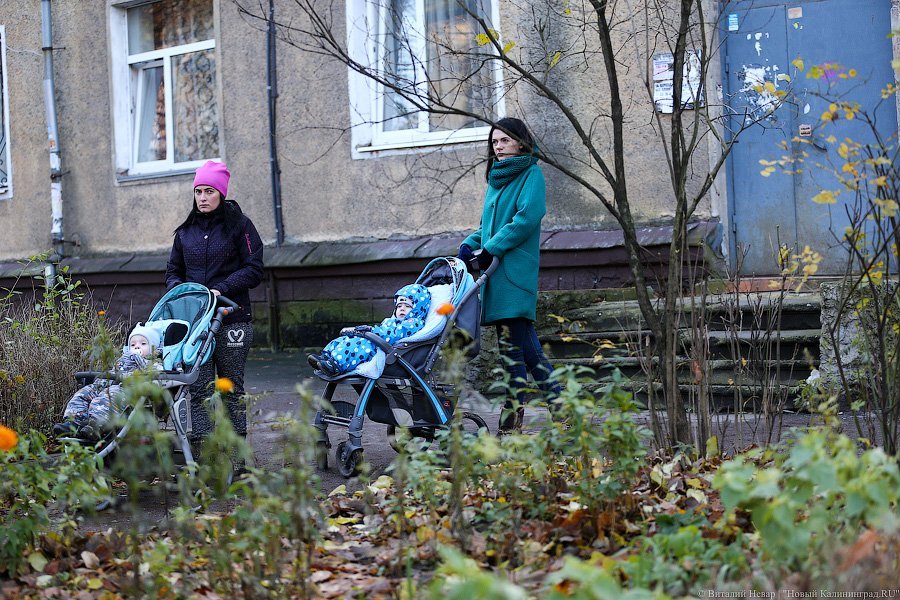 «Заметьте нас»: в Калининграде дети вышли на пикет в поддержку пешеходов 