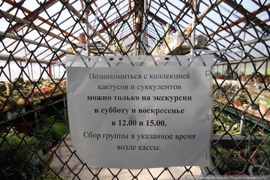 "Самая зеленая зона": фоторепортаж "Нового Калининграда.Ru"