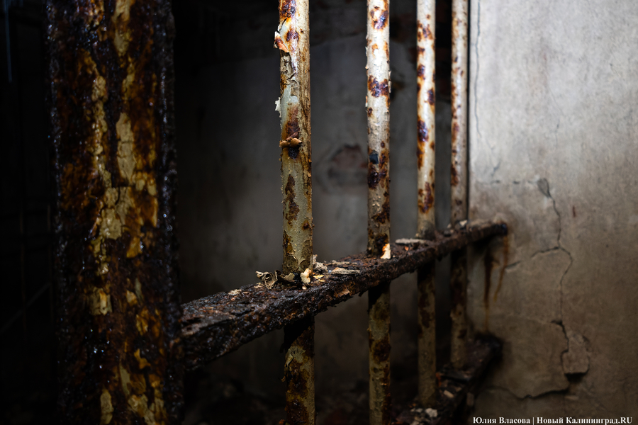 Настоящие подземелья Кёнигсберга: что находится в открывшемся провале на острове Канта (фото)