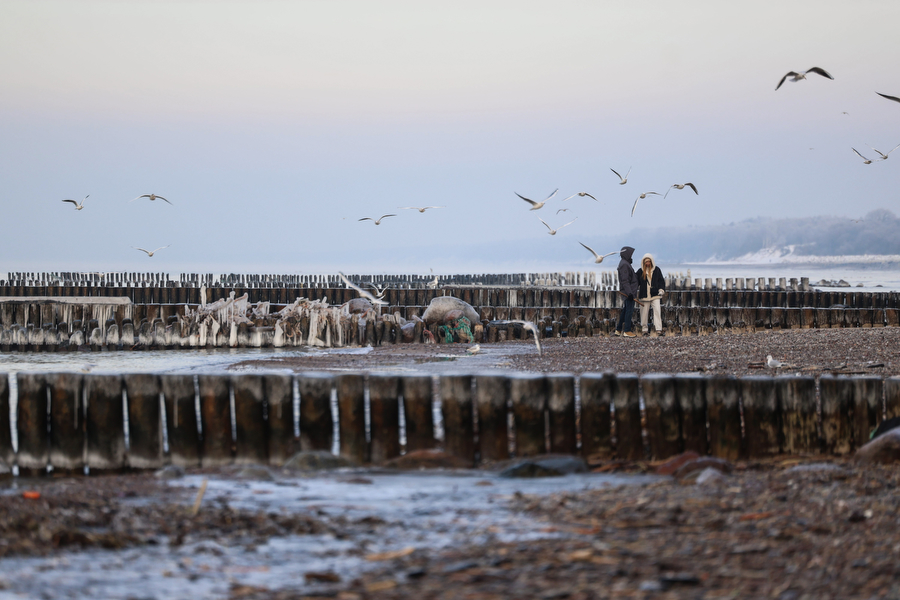 Мороз и море: как стихия украсила променад в Зеленоградске (фото)