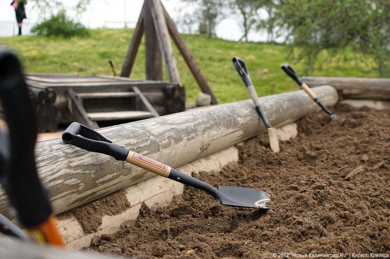 «Янтарная пирамида и незолотые прииски»: фоторепортаж «Нового Калининграда.Ru»