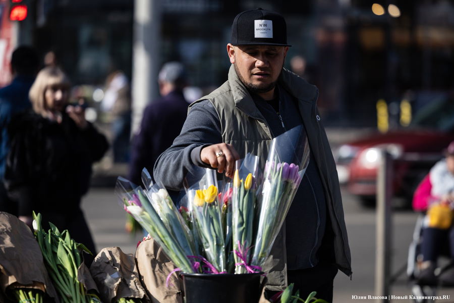 Мимозно-тюльпанный ажиотаж: Калининград накрыла традиционная цветочная лихорадка (фото)