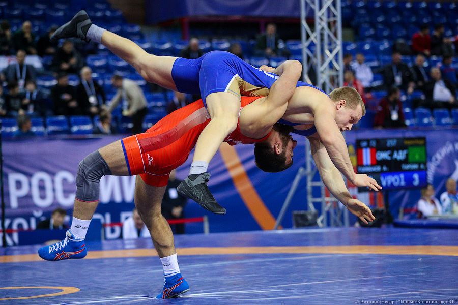 Просто мощь: чемпионат России по греко-римской борьбе идет в Калининграде (фото)