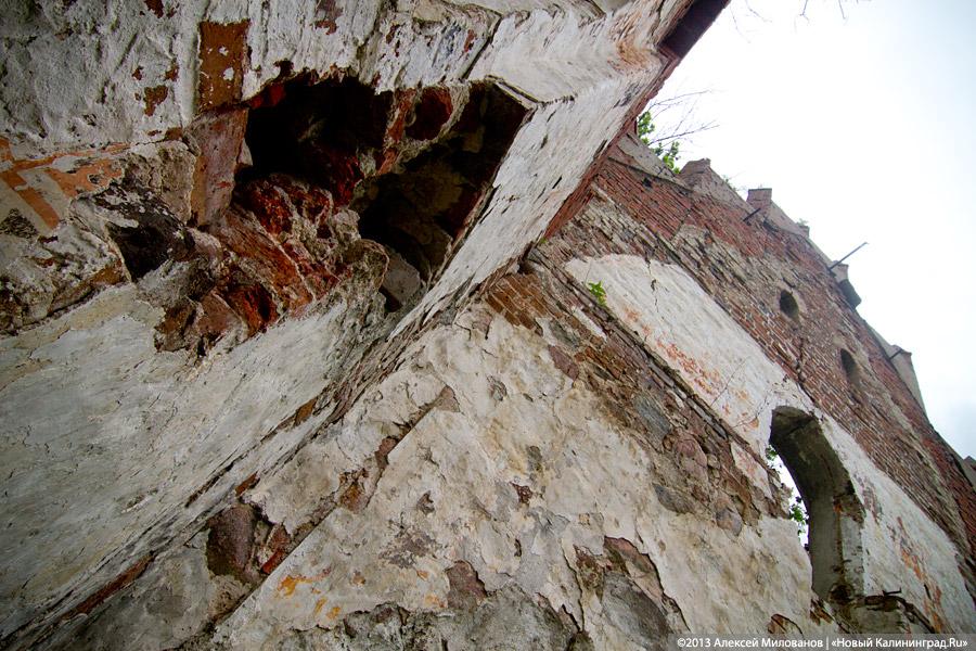 Забытые могилы: кирха и кладбище в поселке Тишино зарастают деревьями