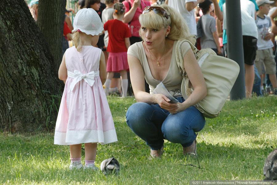 "Калининградский глаз": репортаж "Нового Калининграда.Ru"