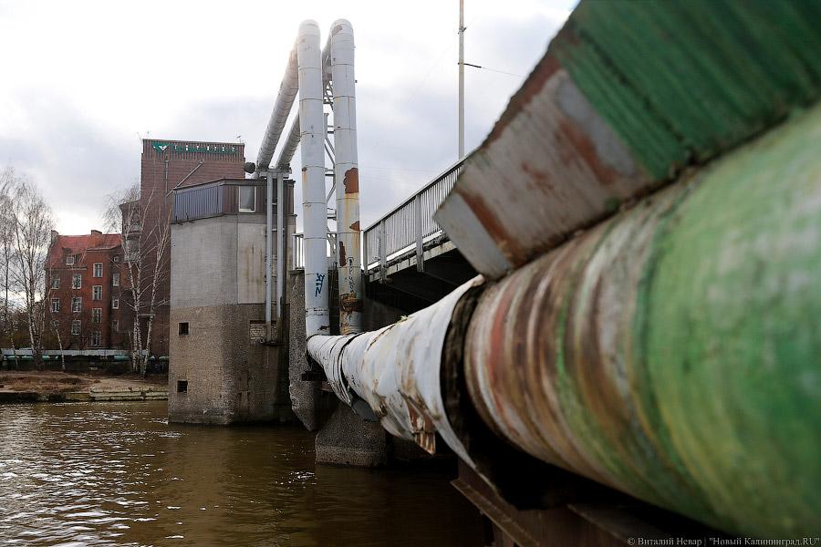  Горвласти выделили «Калининградтеплосети» 300 млн рублей для расчета по кредитам