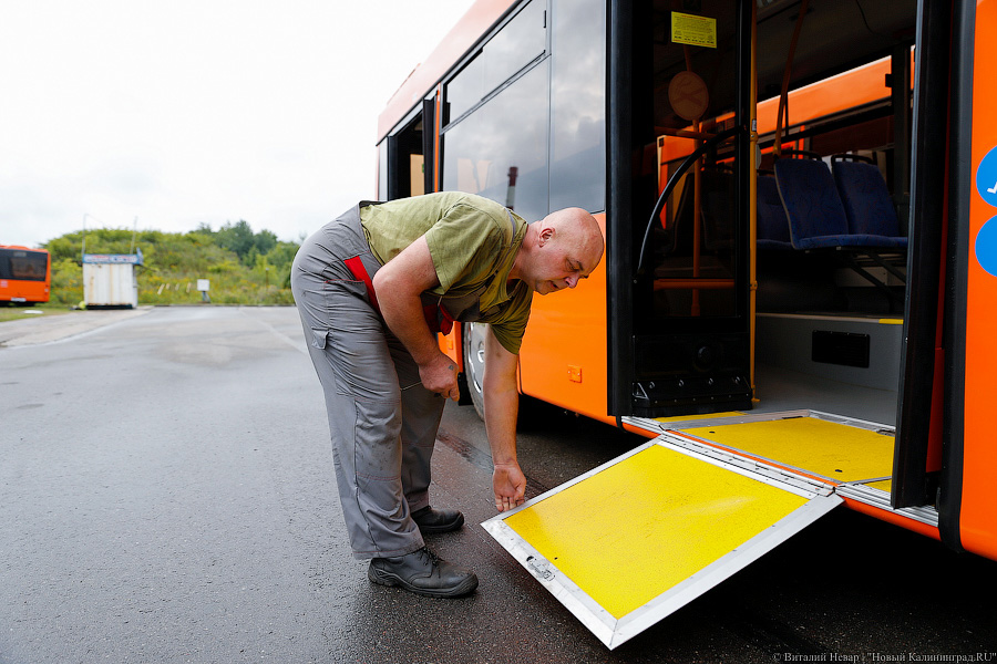 Оранжевое счастье: Калининграду передали 100 новых автобусов МАЗ (фото)