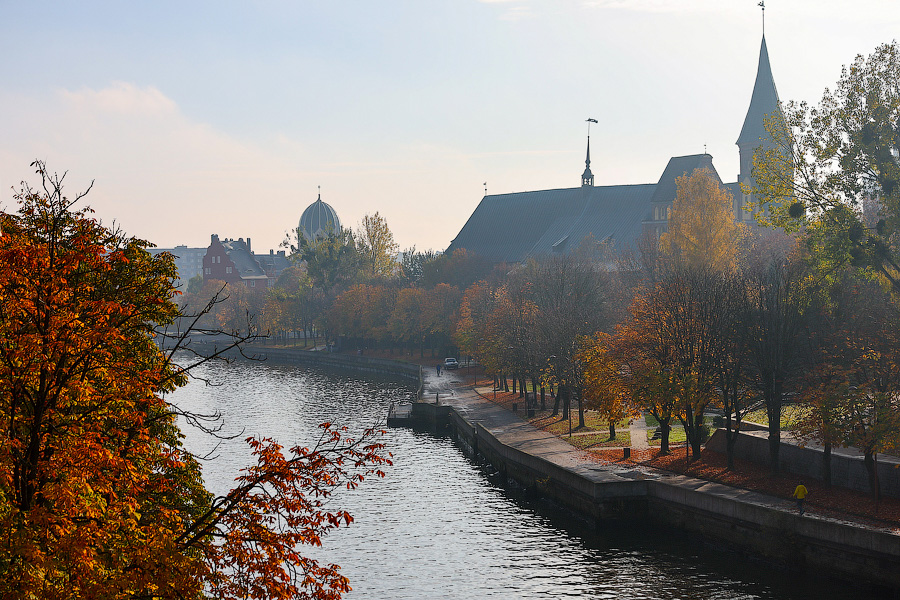 Время тыквы: как в Калининграде проходит необычная осень (фото)