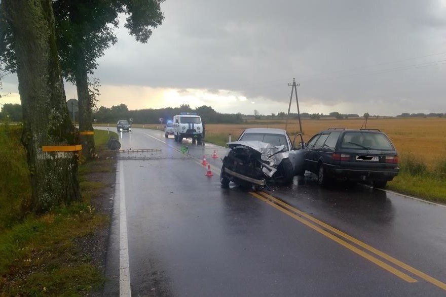 Под Нестеровом пьяный водитель без прав врезался в дерево (фото)