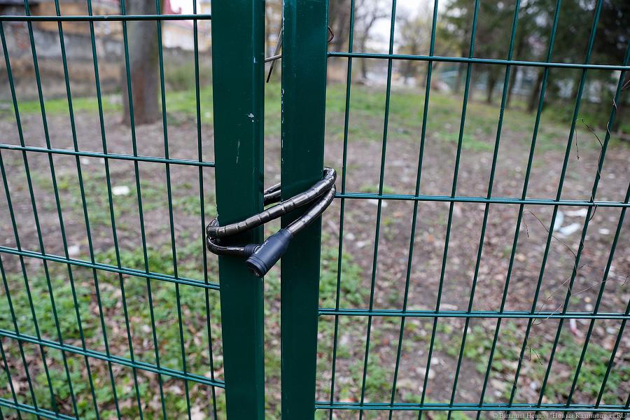 Фото — Виталий Невар, «Новый Калининград.Ru»