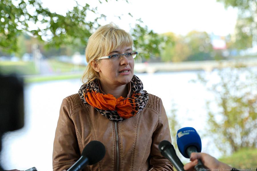 Чтобы жертв не было: власти Калининграда жалеют, что обрезали не все деревья