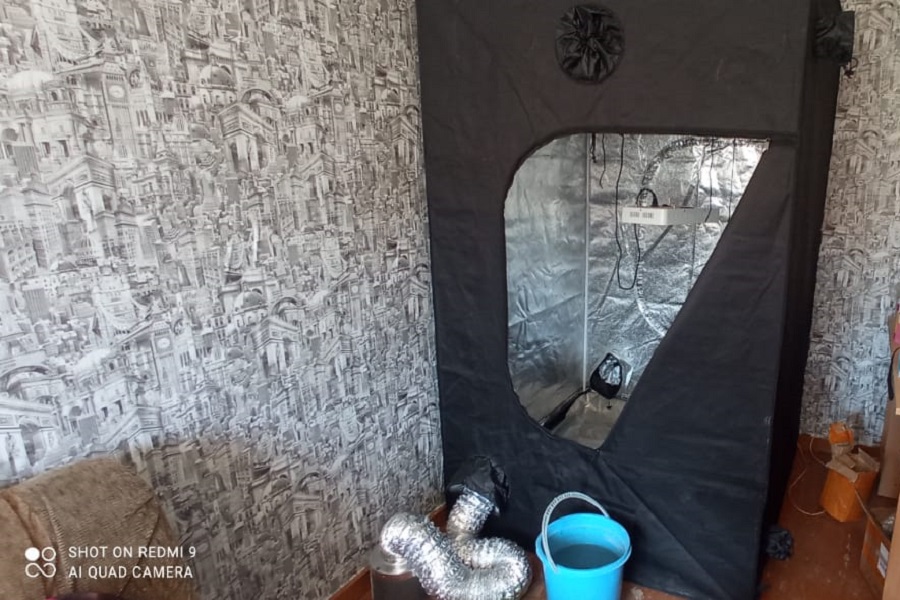 Советчанка оборудовала нарколабораторию в своей квартире (фото)