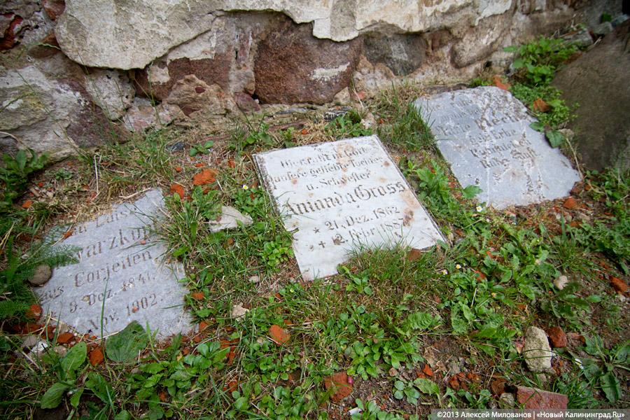 Безмятежный покой: кладбище немецких солдат и мирных жителей в пос. Русское