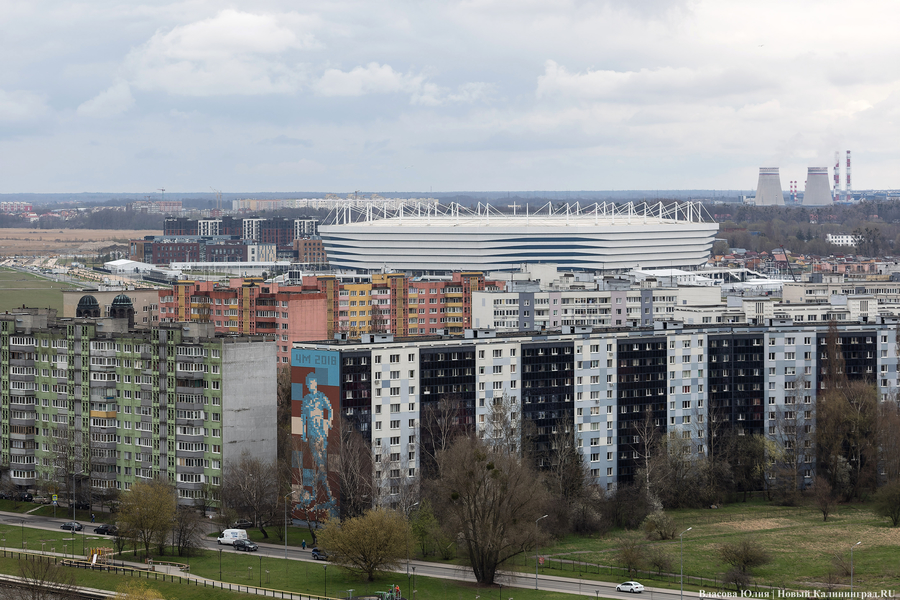 В Калининградский САР перерегистрировали шведскую Avito AB