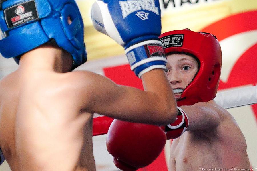 «Ударный» день: в Калининграде прошел чемпионат области по кикбоксингу