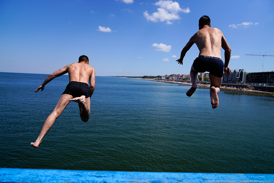 Виталий Невар / Новый Калининград