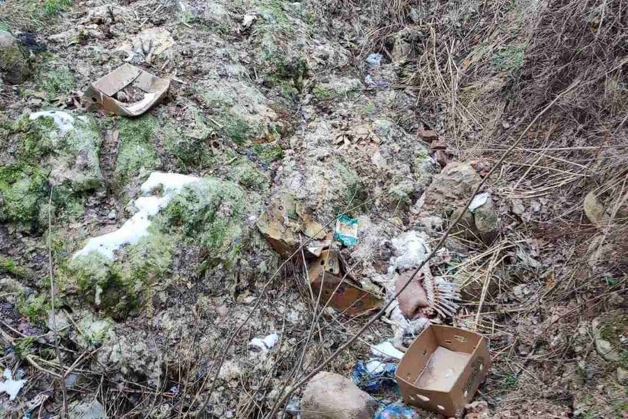 Под Черняховском на земле обнаружили останки сельхозживотных (фото)