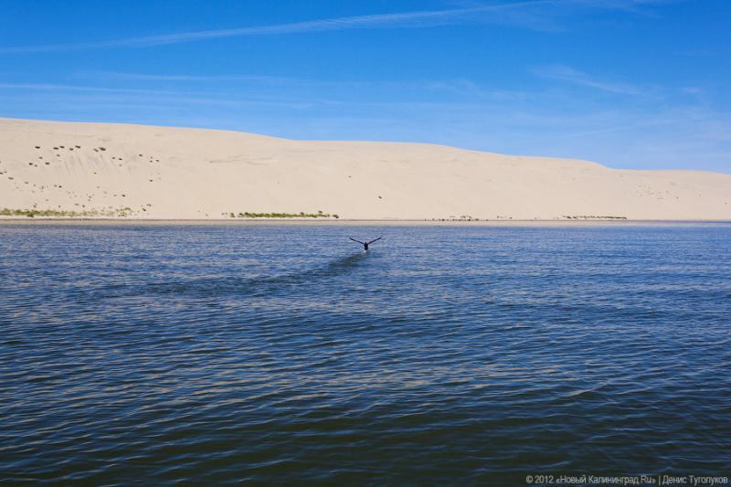 Фото «Нового Калининграда.Ru»