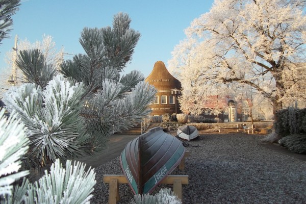 Музей Мирового океана: программа на новогодние каникулы