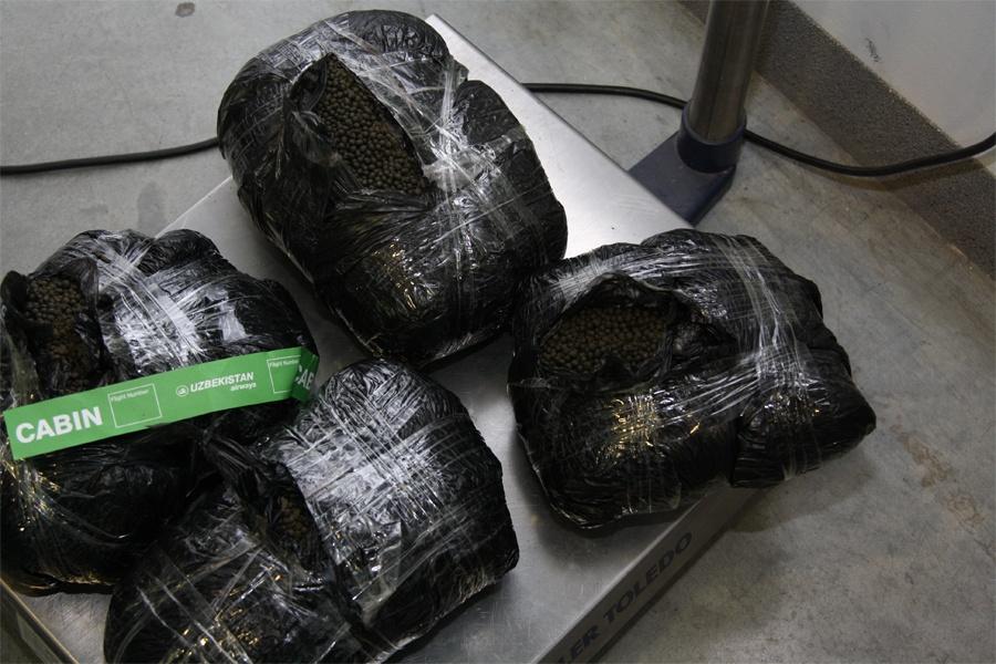 За полгода в Калининградской области таможня изъяла 367 кг насвая (фото)