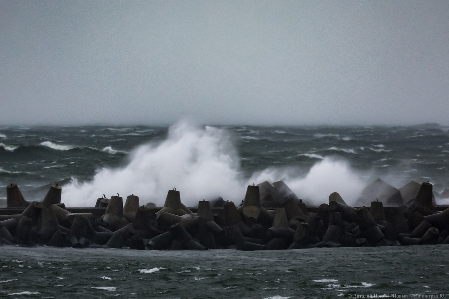 Что нам ветер: фоторепортаж из штормового Балтийска (фото)