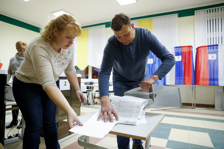 Легитимизируя данность: как в Калининграде проходил подсчет голосов (фото)