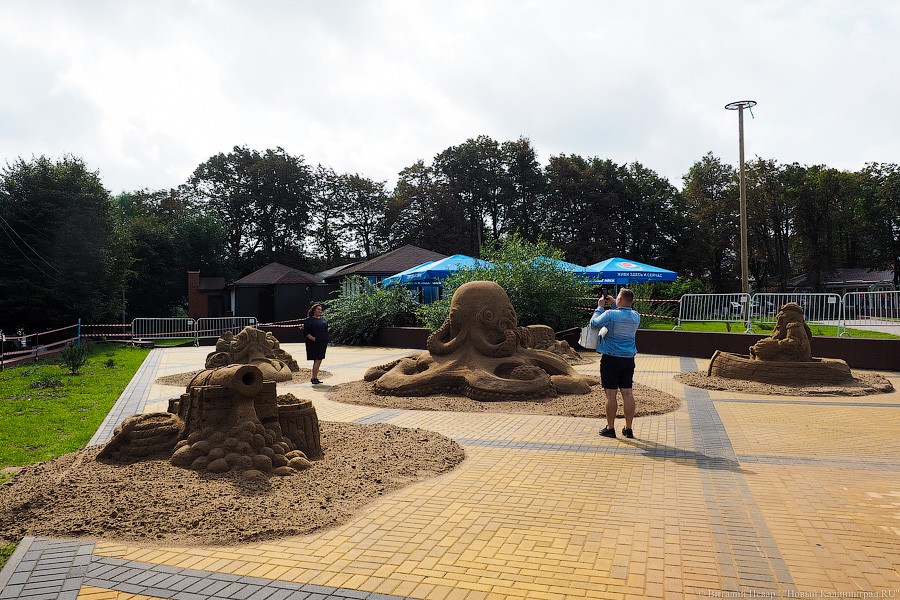 Со дна моря: в Зеленоградске сделали 5 скульптур из песка