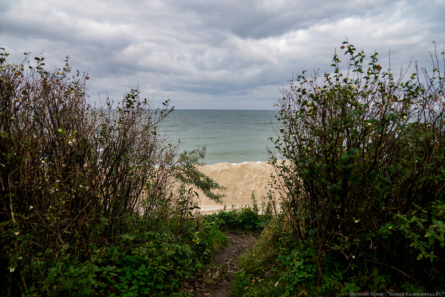 От «Нептуна» до кемпинга: в Зеленоградске укрепляют 1,5 км морского побережья (фото)