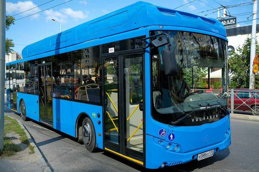 Автобус с розеткой: как в Калининграде испытывают новый вид транспорта