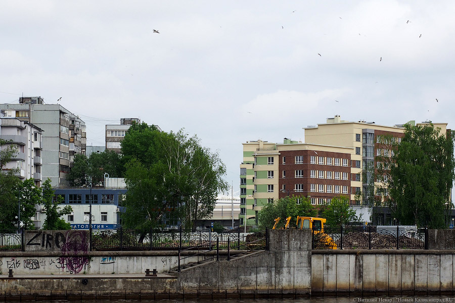 Началась вырубка на территории «Рыбной деревни-2»