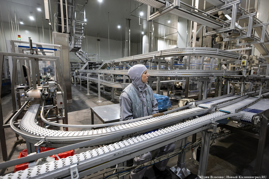 Власти сообщили о росте производительности десяти калининградских предприятий