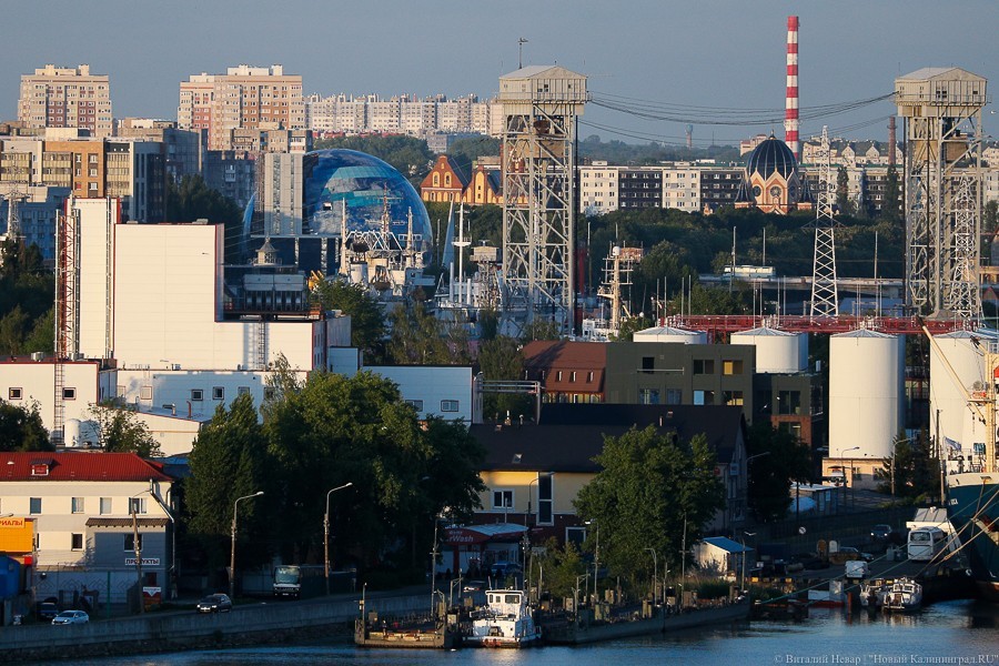 В Калининградской области зарегистрирован максимальный прирост населения с 1994 года