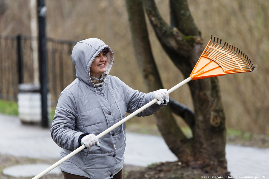 «Коммунальный Новый год»: как в Калининграде прошёл общегородской субботник